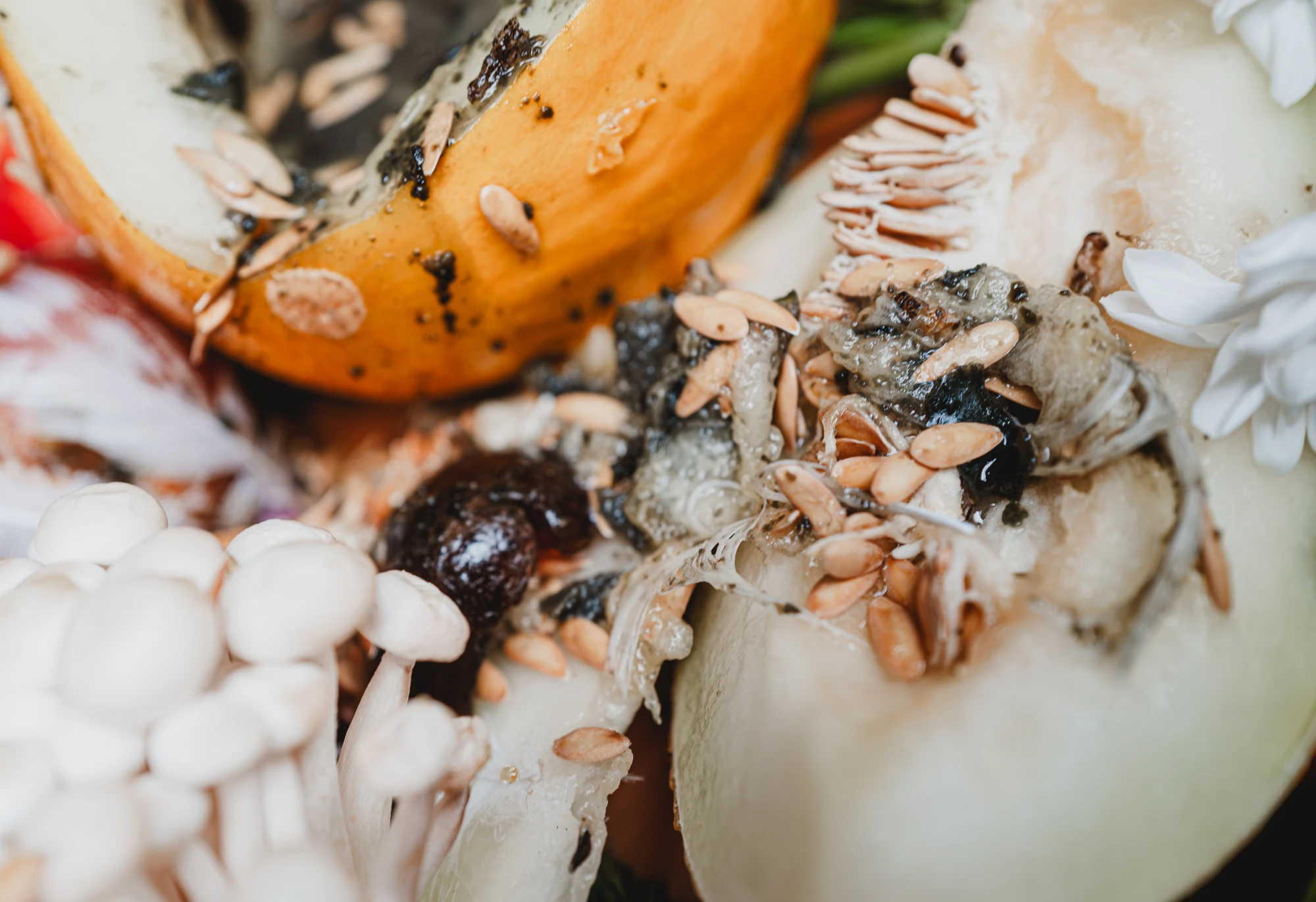 a close up of fruit and centurg egg, mixed together.