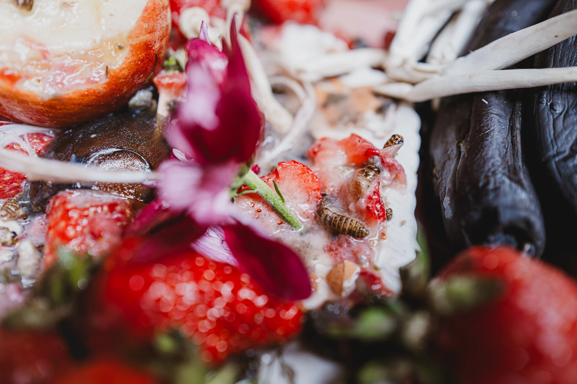 mealworms on strawberries, century egg in the background.
